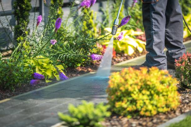 Best Sidewalk and Walkway Cleaning  in Big Le, AK