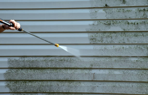 Best Building Exterior Washing  in Big Le, AK